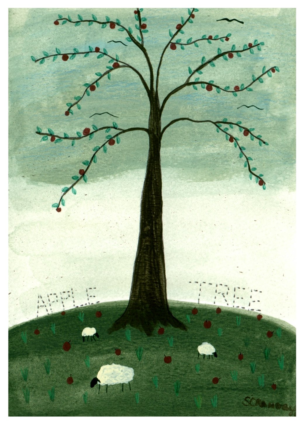 Apple tree.jpg